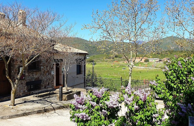 Rural house with swimming pool in the Cabañeros National Park