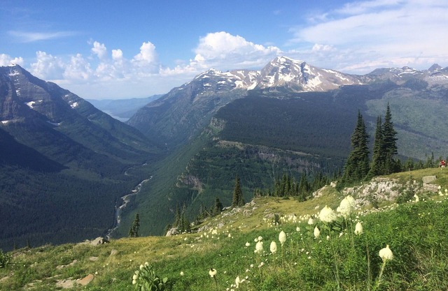 Rustic 2 Bedroom Cabin, 2 Baths, Sleeps 4, 2 Minutes From West Glacier