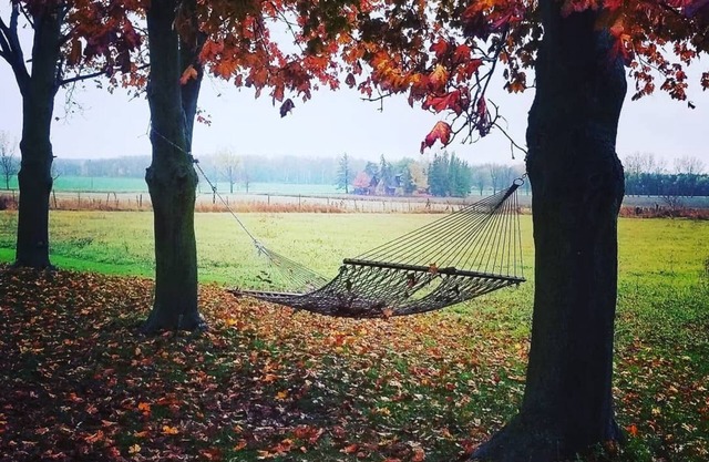Rustic country chic