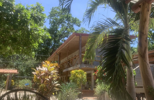Lodge Located Jungle Setting 