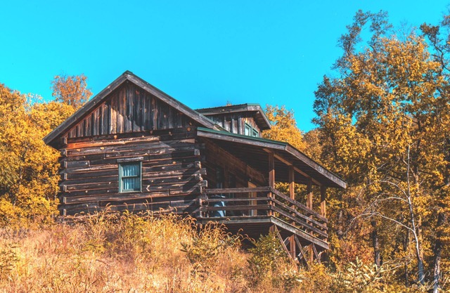 Rustic River Cabin 4