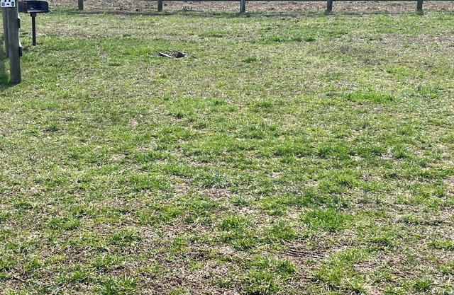 RV Campground at The Holler # 11