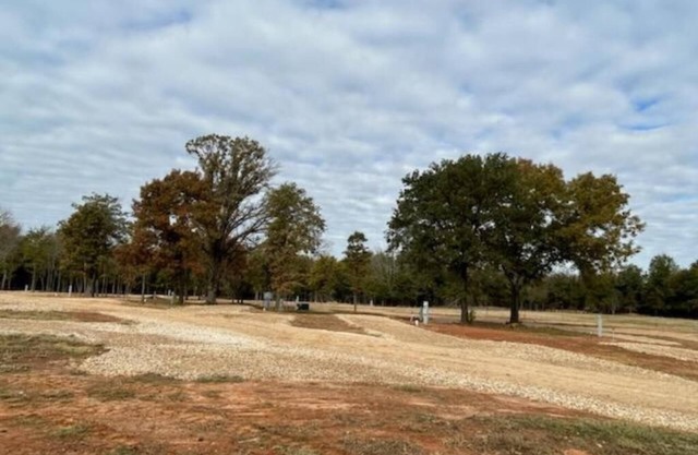 RV Spot on *Exotic Animal Ranch* Campground. BRING YOUR RV
