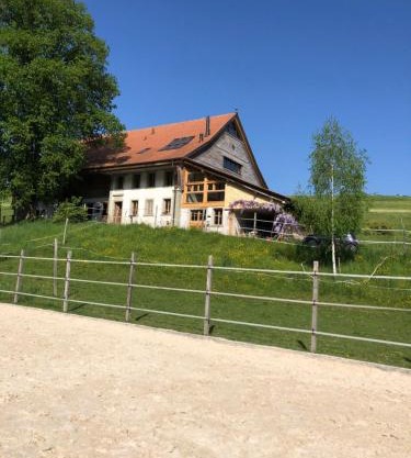 Sérénité et Nature dans une ferme équestre - loft lumineux de 140m2