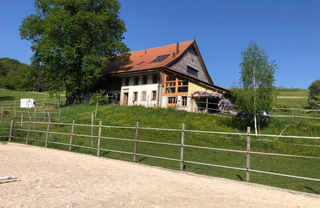 Sérénité et nature dans une ferme équestre - studio familial