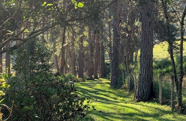 Sítio do Mingo: Country house - The best of nature close to São Paulo!