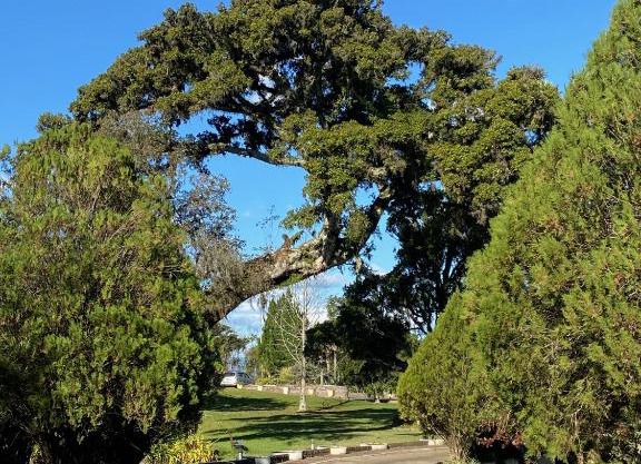 Sítio das Figueiras