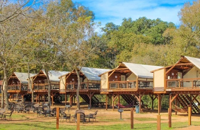 Safari Cabin #2 Summa
