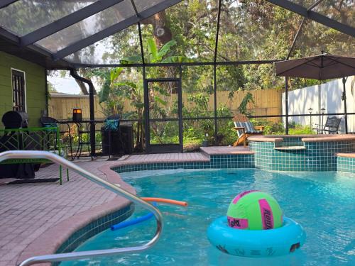 Safari King Suite By Busch Gardens with Pool