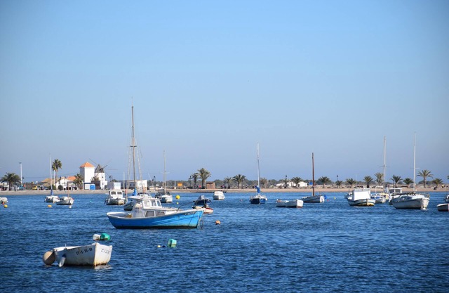 San Pedro Del Pinatar: House/Villa - St pedro del pinatar
