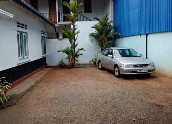 sanalee guest