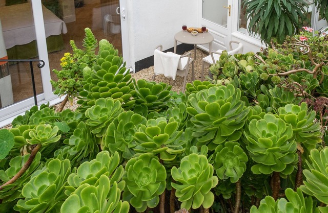 Sands Studio & Samphire Studio