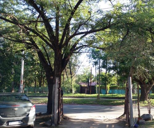 Santorini Bed en Córdoba