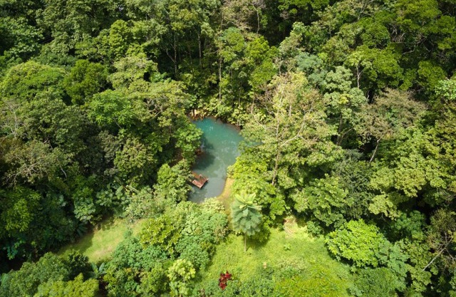 Santuario de Ranas - Explora nuestro paraíso natural