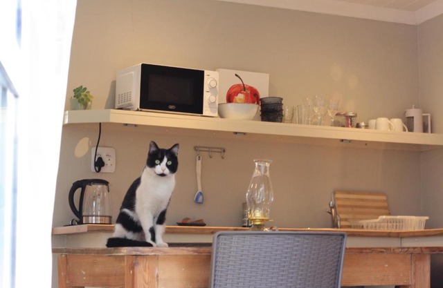 Sarah's Place- Heatherlands,George