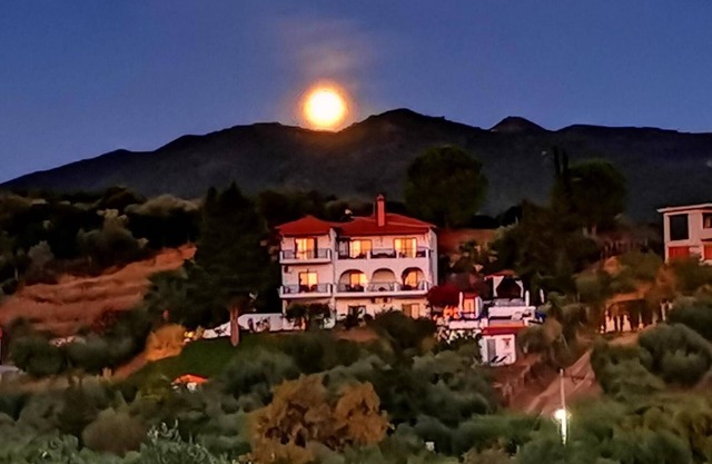 SartiVista