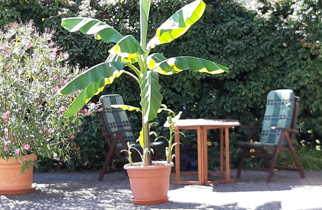 Sattelmair vacation apartment
