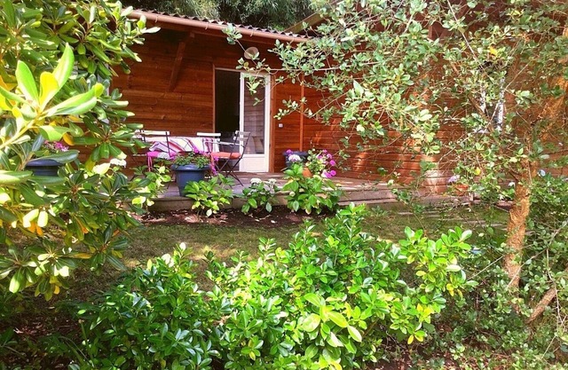 Saubion wood house