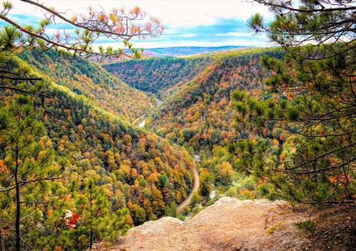 Scenic Ridge Haven Firepit, Trails & Views