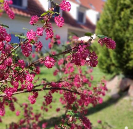 Schlossparkhotel Sallgast
