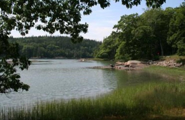 Sea Green Cottage - Delightful tidal oceanfront camp