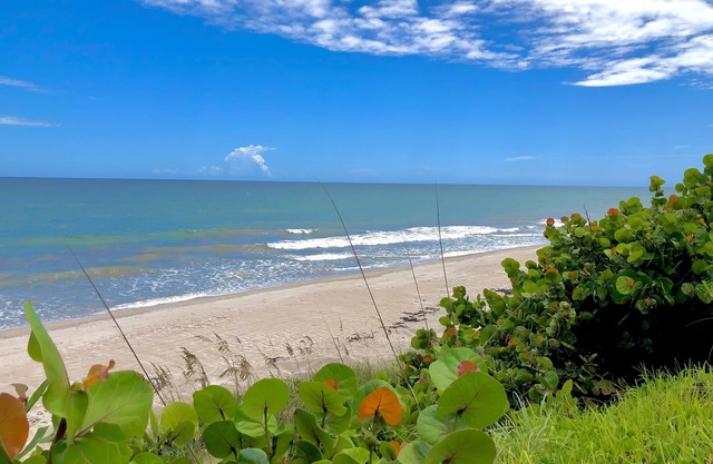 Sea Owl Suite 3, Oceanfront style and Serenity in Melbourne Beach!