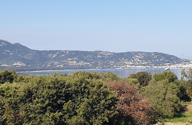 Sea view apartment 45m2