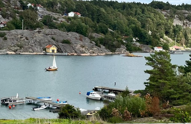 Sea view chalet