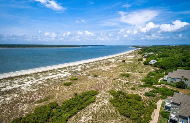 Seabrook Exclusives:1368 Pelican Watch