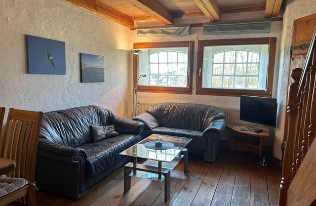 Seagull - hoarfrost by the sea