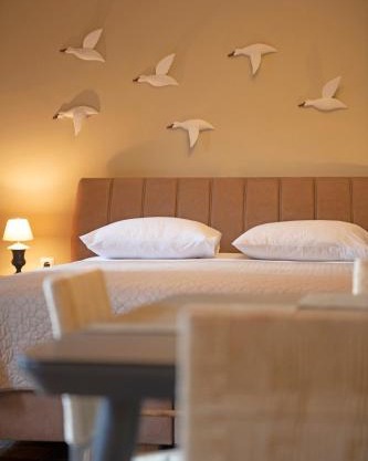 Seagulls' House
