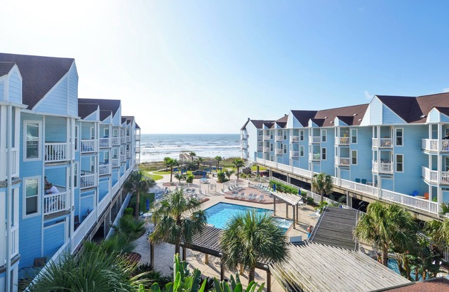 Seascape 1110 - Parrot Paradise