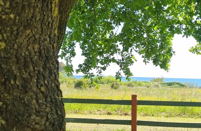 Seaside residence, fully-equipped air-conditioned villas with private beach access