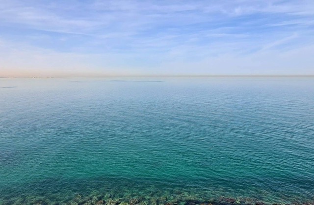 Seaside Serenity