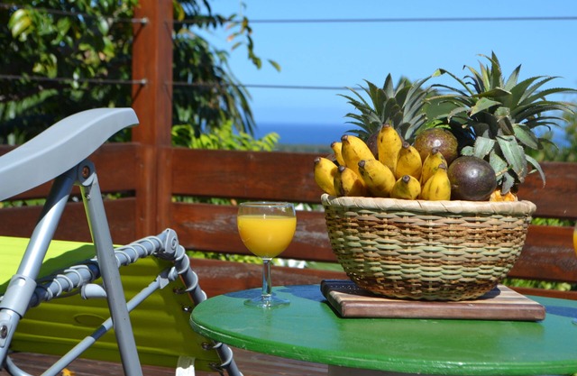 Seasonal rental Villa Jolizevi