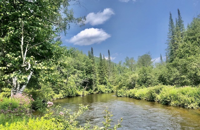 Secluded Boardman River home with a HOT TUB, Smart TV, Kayaks. Dogs ok