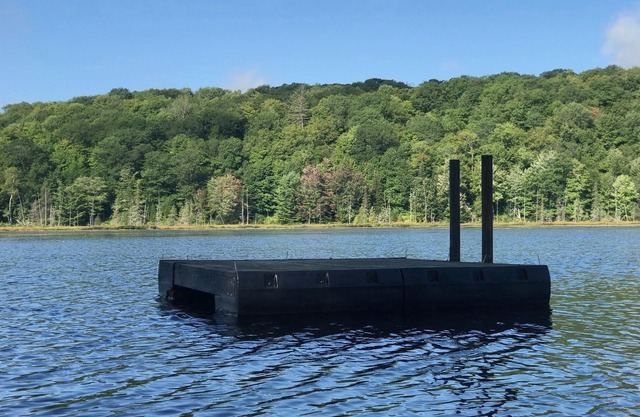 Secluded Cabin on Your Own Private Lake Nestled Among 350 Wooded Acres