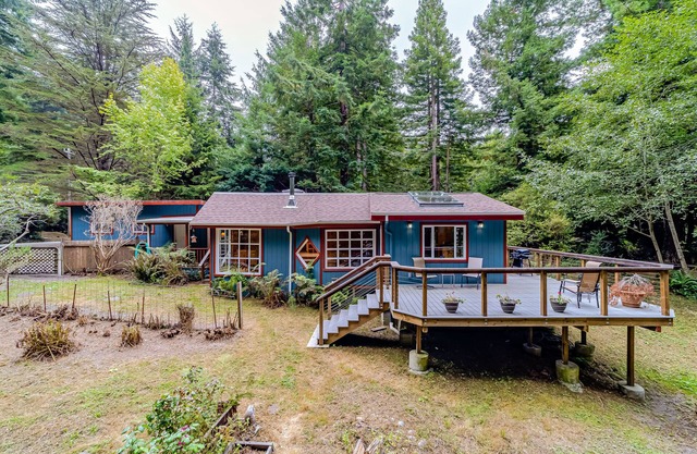 Secluded forest home with deck, private setting, woodstove, WiFi, & patio