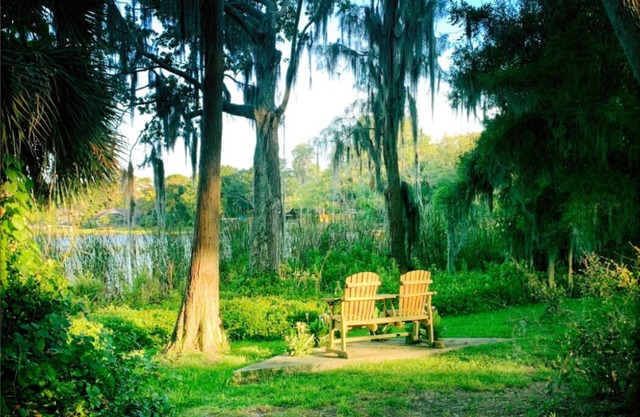 Secluded Lakefront House short drive to Beaches, Busch Gardens, Stadium, Disney