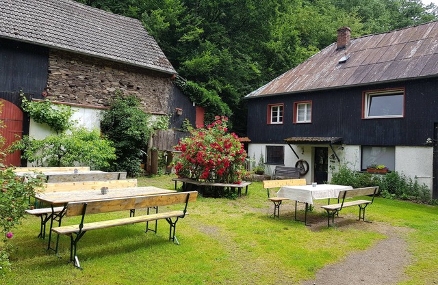 Secluded location in the forest! Renovated farmhouse, family and pet friendly