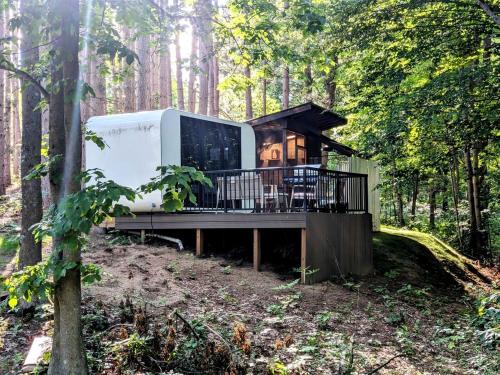 Secluded Modern Tiny House with Wood-Fired Hot Tub Near Trails in Sears, Michigan