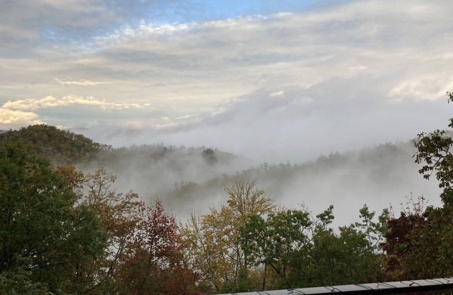 Secluded mountain top luxury getaway in the Nantahala National Forest!