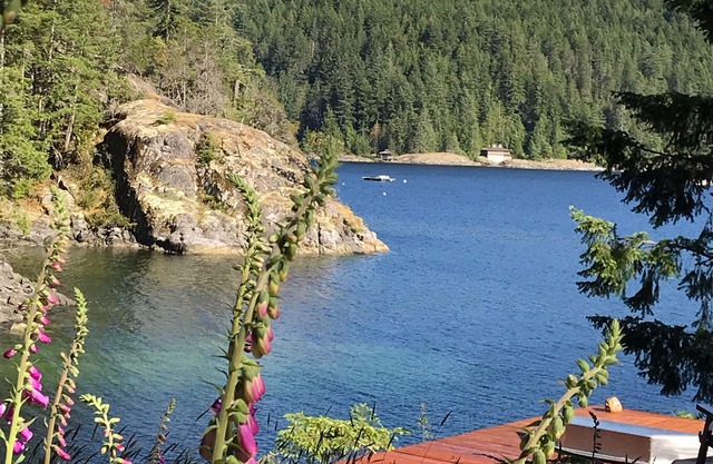 Secluded Oceanfront Property in a peaceful cove in Desolation Sound.