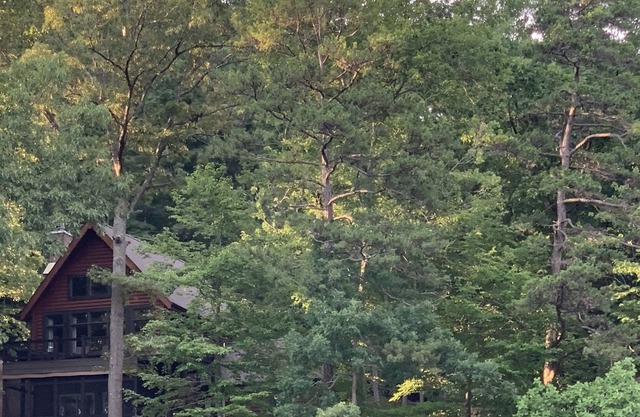 Secluded retreat in the woods on Big Creek.