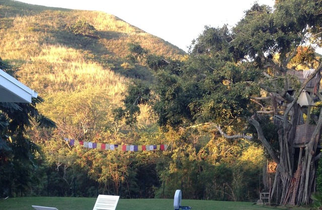 Secluded w Ocean view, 5 blocks to Beach, heated pool & hot tub