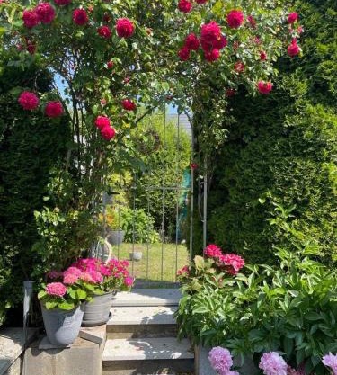 SECRA Exclusive Zum Sternberg