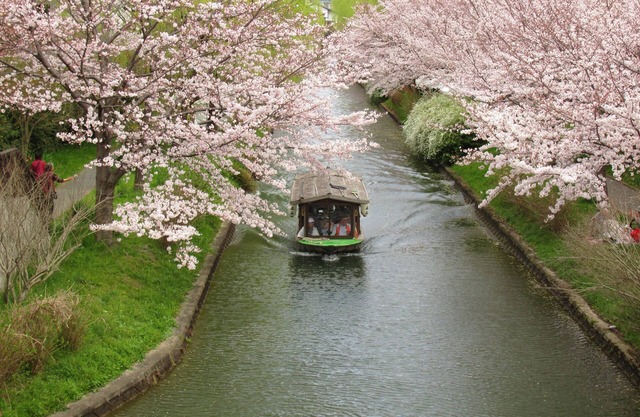 Secret Garden K.Y.O.T.O