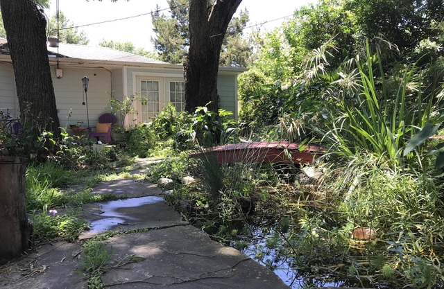 Secret Garden-Near Downtown Houston-Private Entry