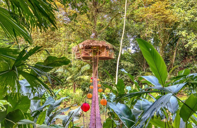 Secret Jungle Treehouse by the Sea, 2 bedrooms.