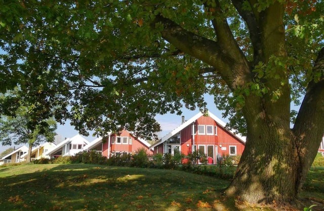 Seeperle 1st row incl. NK at Ferienpark Scharmützelsee - Ferienpark